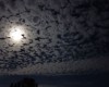 ... et laissons-les danser jusqu'au bout de la nuit !